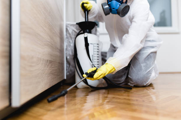 Best Pest Removal Services  in National Park, NJ