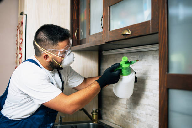 Best Emergency Pest Control  in National Park, NJ