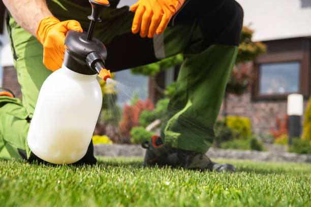 Best Pest Control for Homes  in National Park, NJ