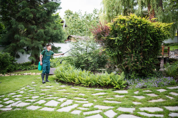 Best Residential Pest Control  in National Park, NJ