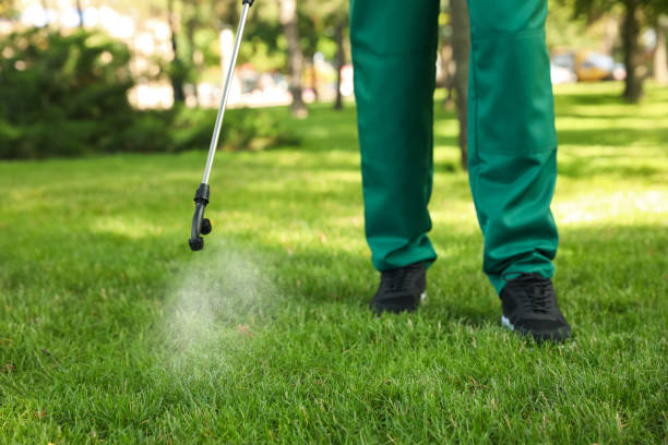 Best Termite Control Services  in National Park, NJ