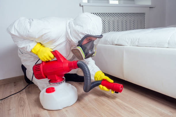 Best Rat Extermination Near Me  in National Park, NJ