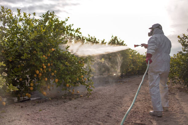 Best Cockroach Control Services  in National Park, NJ