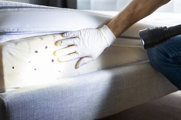 Best Commercial Pest Control Services  in National Park, NJ