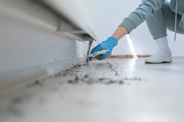 Best Pest Inspection Near Me  in National Park, NJ